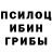Псилоцибиновые грибы прущие грибы Tanya Pancenko