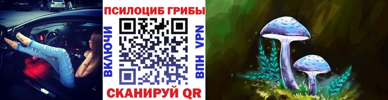 сколько стоит  Каменск-Уральский  Псилоцибиновые грибы мицелий 